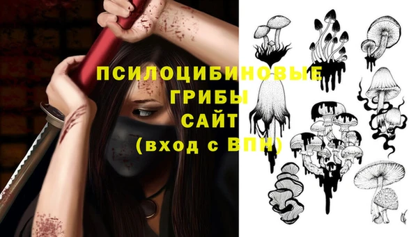 ECSTASY Алексеевка