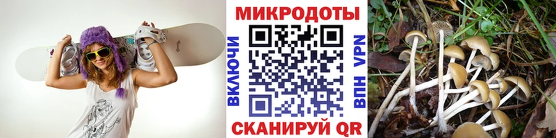 где можно купить наркотик  Серов  Галлюциногенные грибы GOLDEN TEACHER 